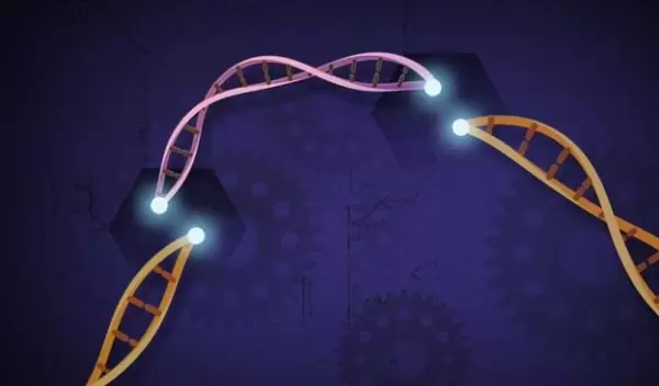 CRISPR Gene Editing