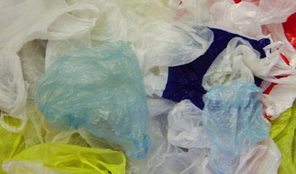Water and sunlight convert single-use plastic bags into dissolved compounds, scientists discovered.