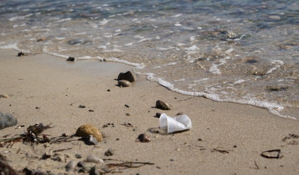 plastic pollution