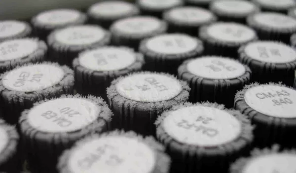 vials with frozen population samples