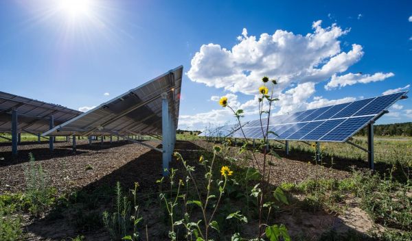solar panels