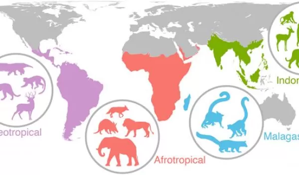 prehistoric past to the global future