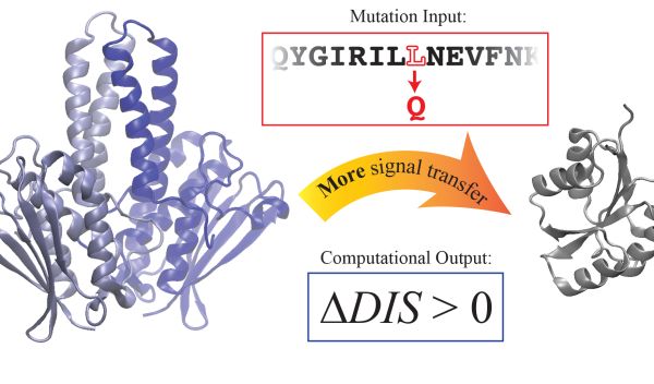 two component signaling proteins.