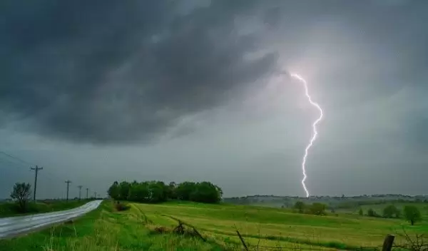Spring rains wash away some pollen