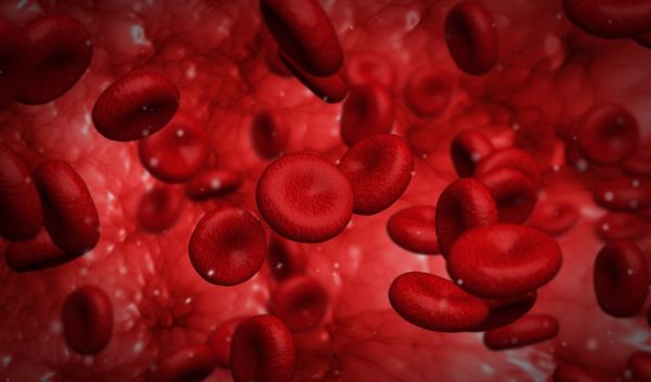 Scientists have found a new mechanism underlying red blood cell aging.