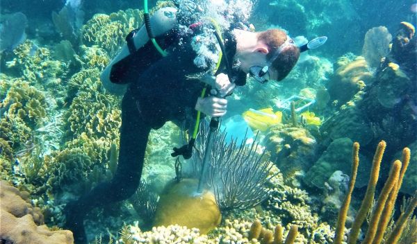 researcher Justin Baumann drills a coral core