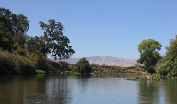 Riverbank woodlands along the lower Tuolumne River near Merced, California.
