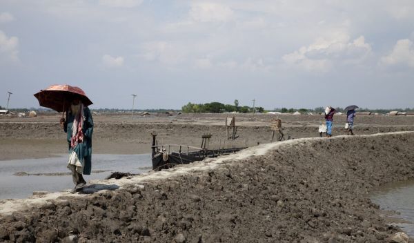 A new global database documents 40 years of change in Earth's rivers.