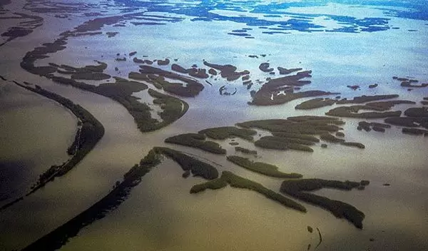Land building in a rapidly subsiding area near the mouth of the Mississippi River.