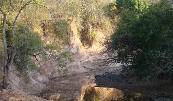 A view along the river in Tanzania where scientists have conducted research since 2002.