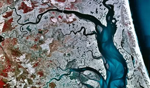 New research is clarifying the capacity of rivers to filter pollutants.