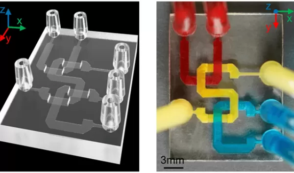 Engineers fabricate a 3D-printed microfluidic device in precise microscale.