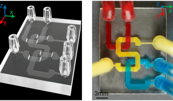 Engineers fabricate a 3D-printed microfluidic device in precise microscale.