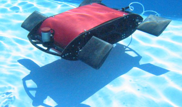 Madeleine is helping scientists and engineers better understand how flippered animals swim.
