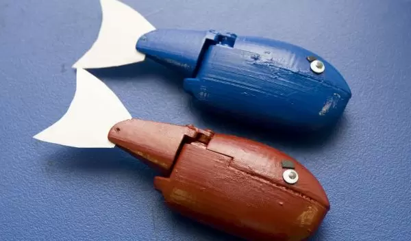 Photo of two second generation robotic fish.