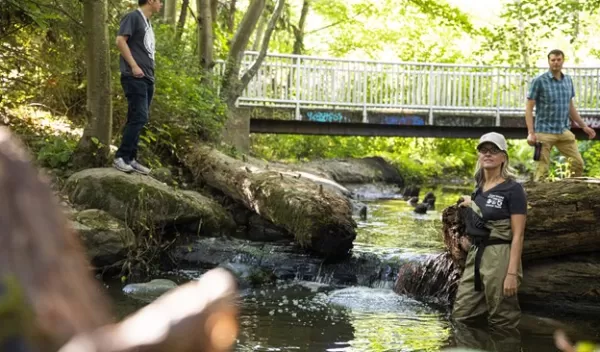 researchers are at Longfellow Creek, an urban creek in the Seattle area