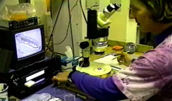 researcher in lab