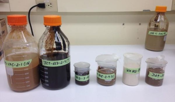 marine sediment samples