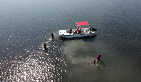 researchers at the NSF Virginia Coast Reserve LTER site