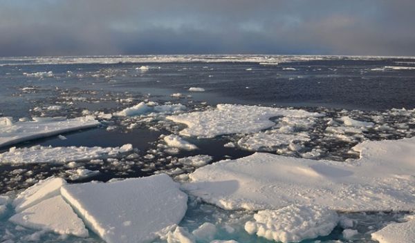 sea ice