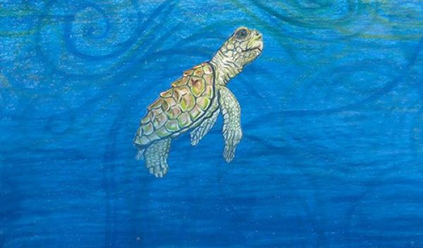 an oil painting of a juvenile sea turtle