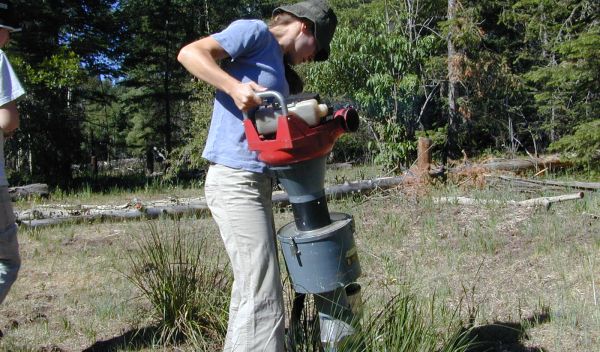 Photo of Andrea Jani collecting arthropods from sleepy grass in Lincoln National Forest, N.M.
