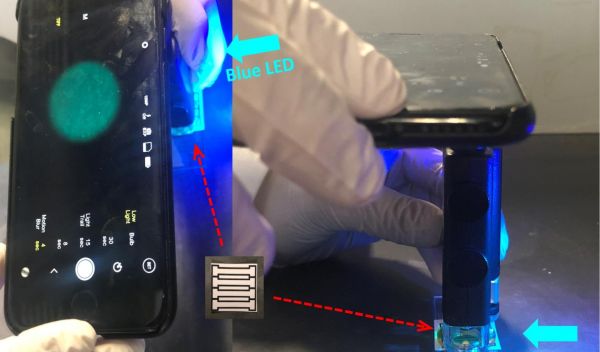 smartphone to detect norovirus
