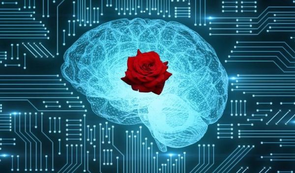 a brain with a rose