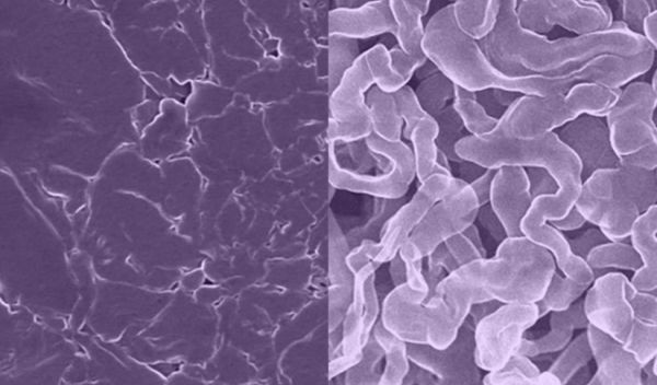 Scientists fabricate a new anode material for a rechargeable battery technology.