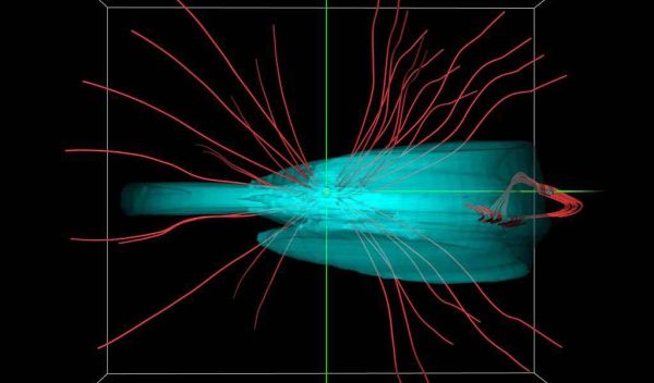 Image from a simulated interplanetary disturbance caused by an solar magnetic eruption (SME)