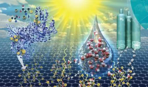 Enzymatic synthesis of supported CdS quantum dot/reduced graphene oxide photocatalysts