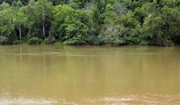 muddy water in the Monongahela River