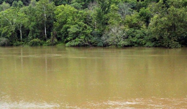muddy water in the Monongahela River