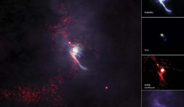 multi-wavelength Z CMa