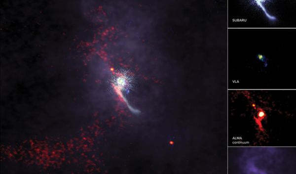 multi-wavelength Z CMa