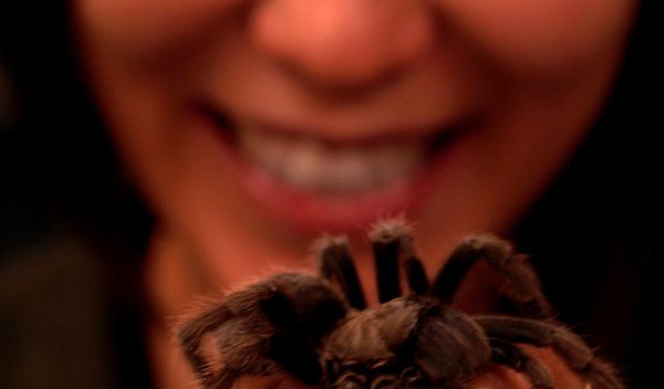 Photo of Cheryl Hayashi holding a spider.