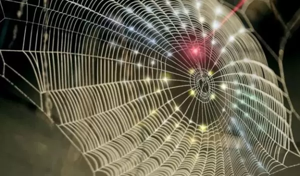 a spiderweb-inspired fractal design