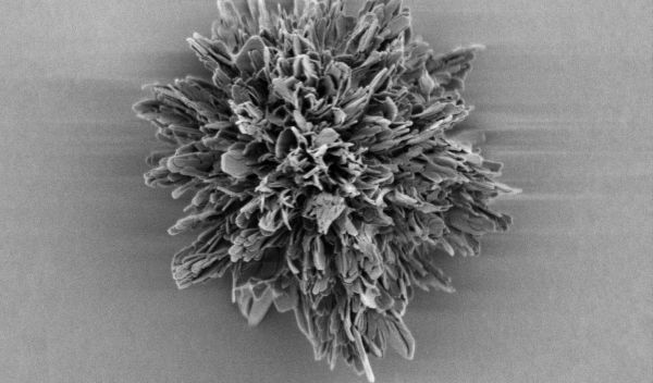 spiky nanoparticle