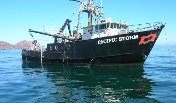 Photo of the research vessel Pacific Storm.