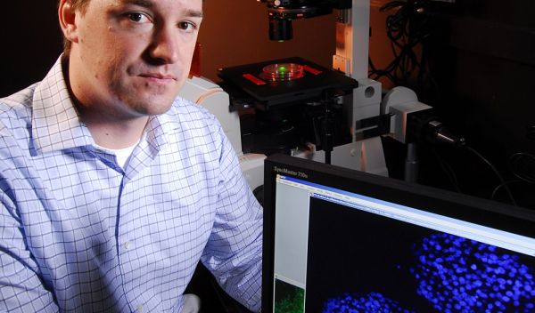 Photo of Todd McDevitt pointing to an aggregate of embryonic stem cells with blue-stained nuclei.