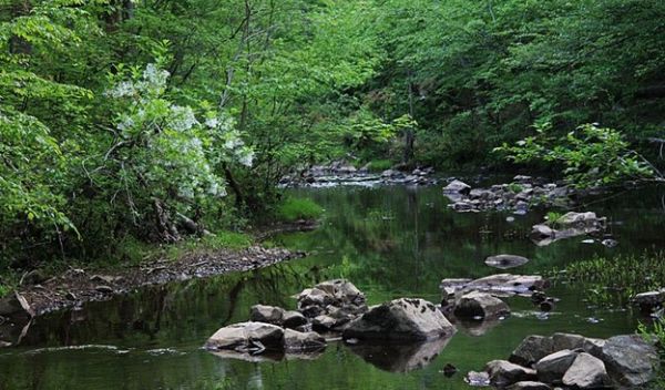 stream