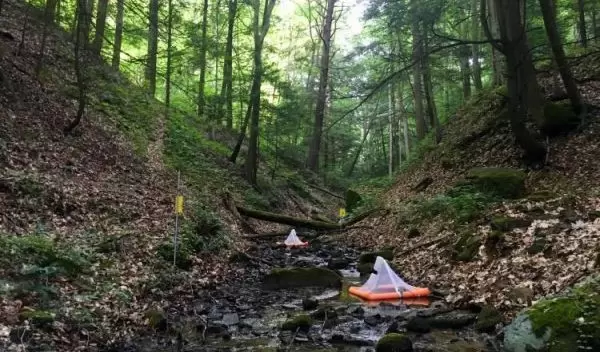 stream with chemical contaminants