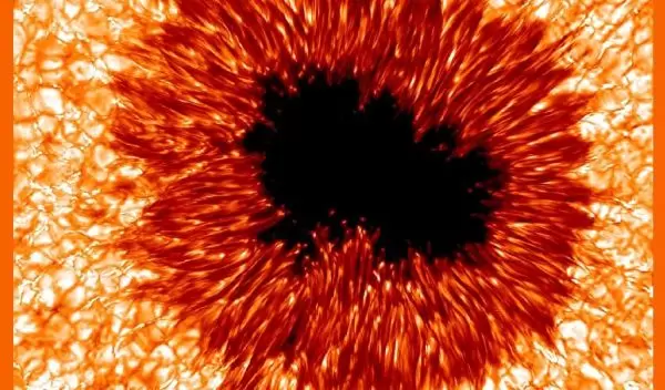 High-resolution image of a sunspot taken at the Sacramento Peak Observatory, New Mexico.
