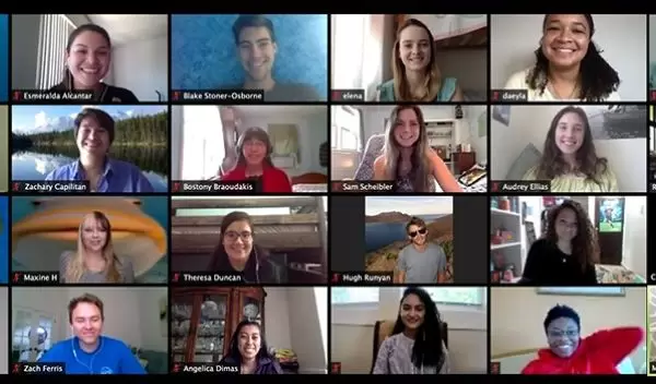 virtual meeting participants