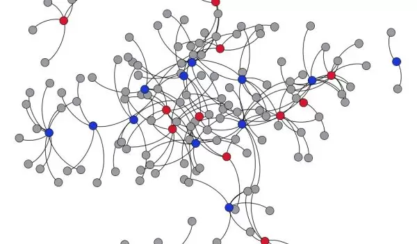 Contact network showing male tortoises (blue nodes), females (red nodes) and burrows (gray nodes).