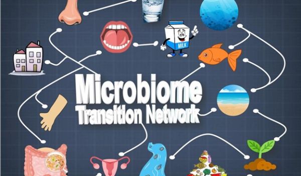 Graphic showing a global microbiome transition network.