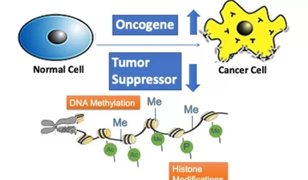 algorithm identifies cancer drivers
