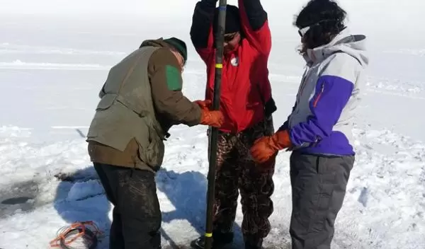 researchers collect a core sample