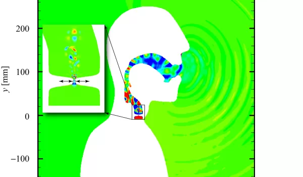 illustration showing air pushed through vocal folds causing them to vibrate