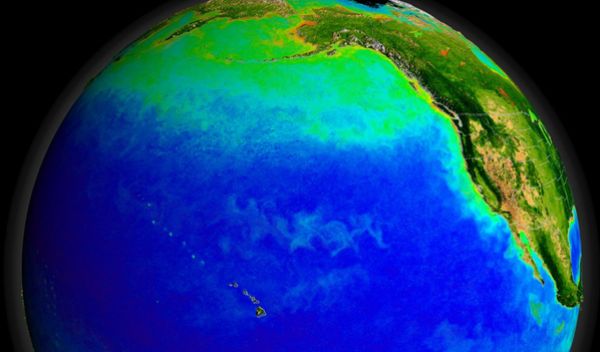 The Pacific Oceanâs currents support a diverse ecosystem, seen here from space, with green indicating blooms of photosynthesizing plankton